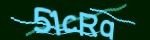 Enter the character string shown in the picture